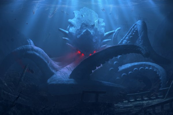 Kraken 12g
